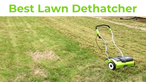 best lawn dethatcher