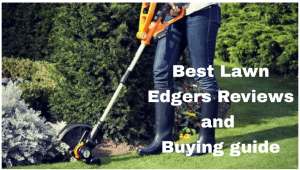 Best Lawn Edgers