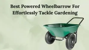 Best Powered Wheelbarrow For Effortlessly Tackle Gardening