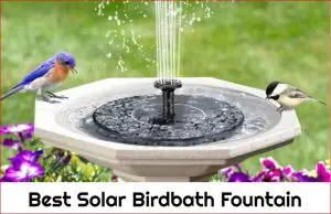 Best Solar Birdbath Fountain