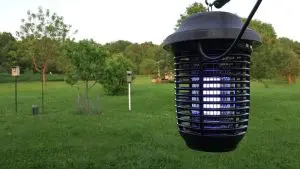 best solar bug zapper