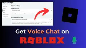 Get Voice Chat on Roblox