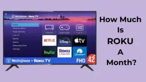 How Much Is ROKU A Month