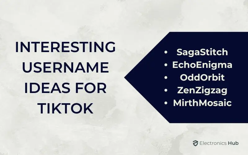 Interesting Username Ideas For TikTok