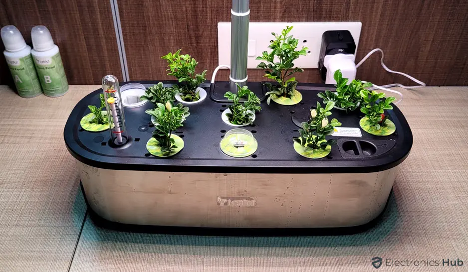 LetPot Hydroponics Growing System Performance