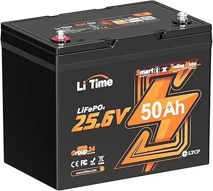 Litime TM LiFePO4 Battery