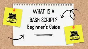 What Is A Bash Script